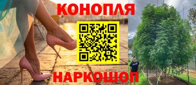 прущий лед Гусев
